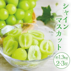 シャインマスカット 2～3房 約1.3kg 10月上旬～11月中旬頃お届け 山形県遊佐町産 冷蔵便 ※離島発送・着日指定不可 種無し 葡萄 ぶどう 果物 フルーツ 期間限定 農家直送 産地直送 山形県 遊佐町 庄内 秋 [1189]