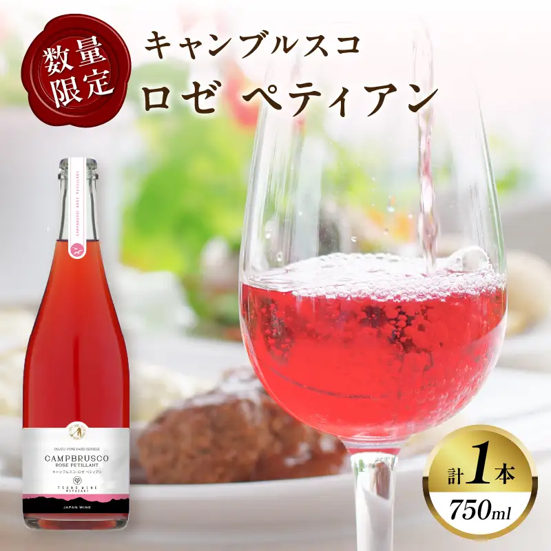 【数量限定】キャンブルスコ・ロゼ ペティアン (計1本) 酒 ワイン アルコール 国産_T014-0195