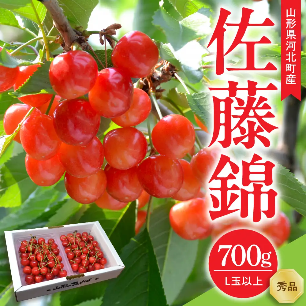 令和9年産 さくらんぼ 佐藤錦 秀品 700g さくらんぼ