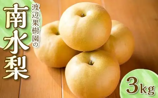渡辺果樹園の南水梨 約3kg＜9月上旬～9月下旬にお届け＞ F7X-0884