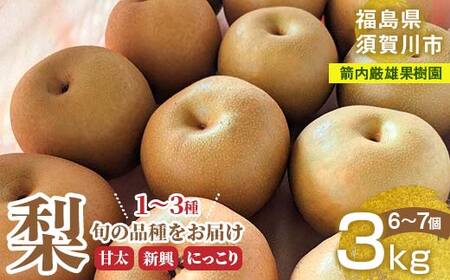 梨 ＜箭内厳雄果樹園＞ 甘太 新興 にっこり 1～3種入り 3kg 6～7個 F7X-0223