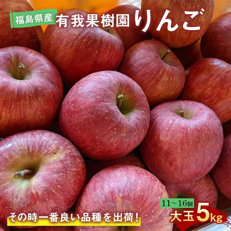 りんご 大玉 11～16個 5kg ＜有我果樹園＞ F7X-0235