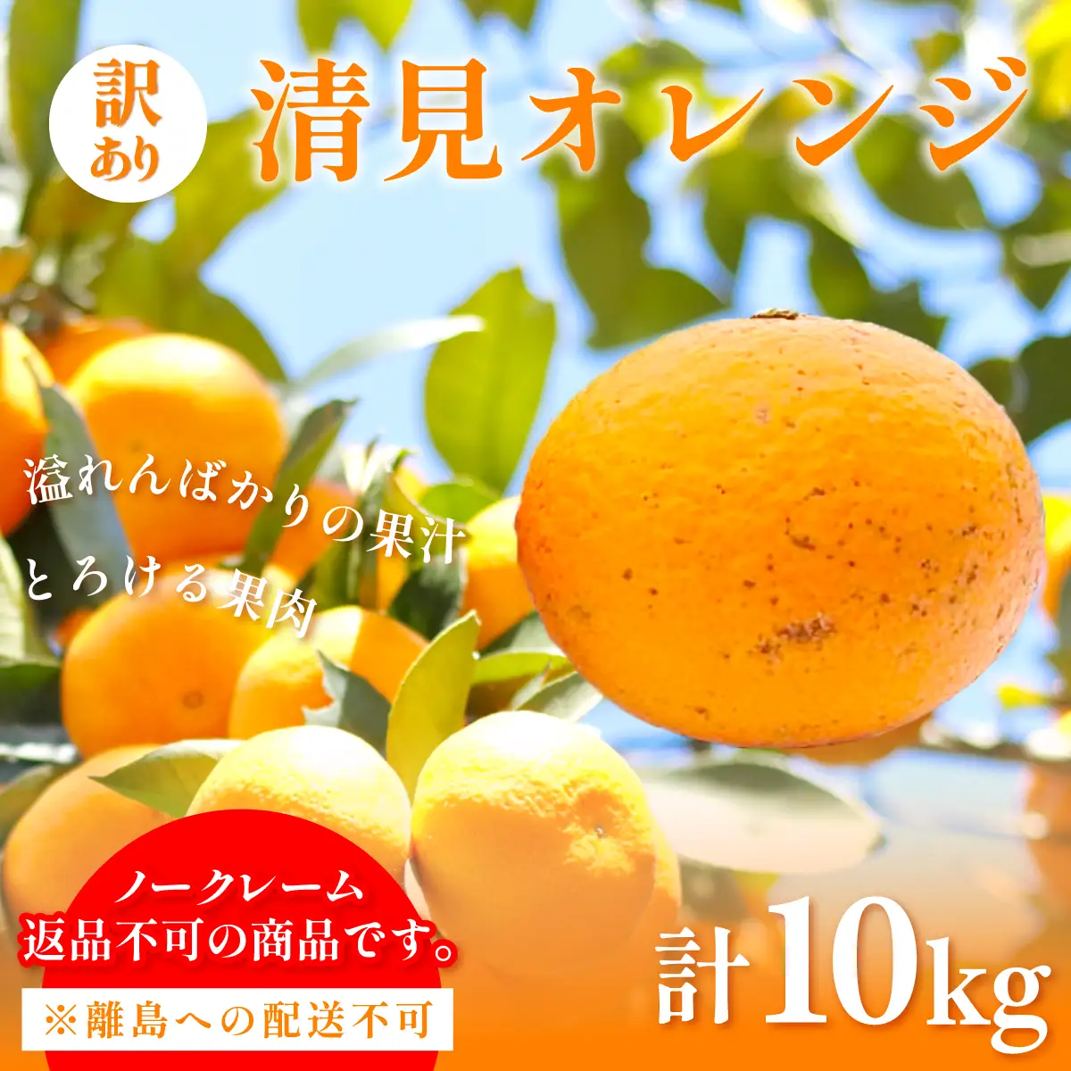 【先行予約】訳あり 清見オレンジ計10kg ※離島への配送不可（2027年3月上旬頃より順次発送予定） IKTAC009