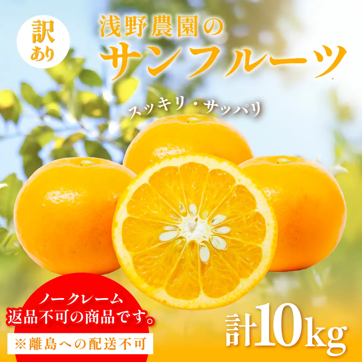 【先行予約】【訳あり】浅野農園のサンフルーツ 計10kg ※離島への配送不可（2027年3月中旬頃より順次発送予定） IKTAC011