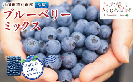 ブルーベリー 500g 大粒 小粒 北海道 ブルーベリー