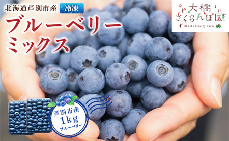 ブルーベリー 500g×2パック 計1kg 大粒 小粒