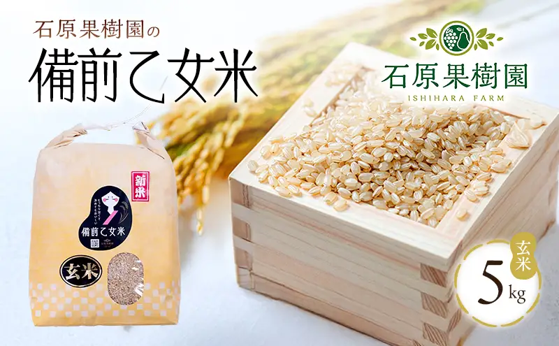 米 令和8年産 石原果樹園の備前乙女米 玄米 5kg×1袋 ※11月上旬～順次発送予定 米