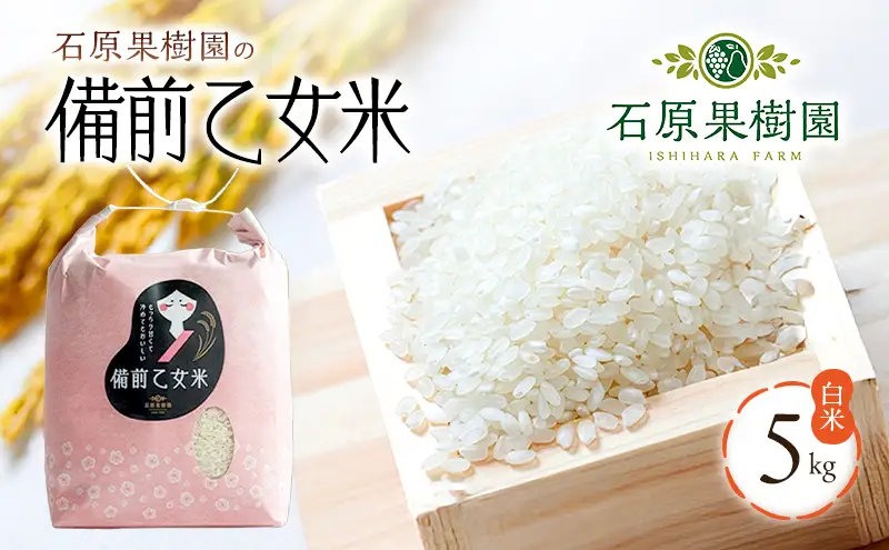 米 令和8年産 石原果樹園の備前乙女米 白米 5kg×1袋 ※11月上旬～順次発送予定 米