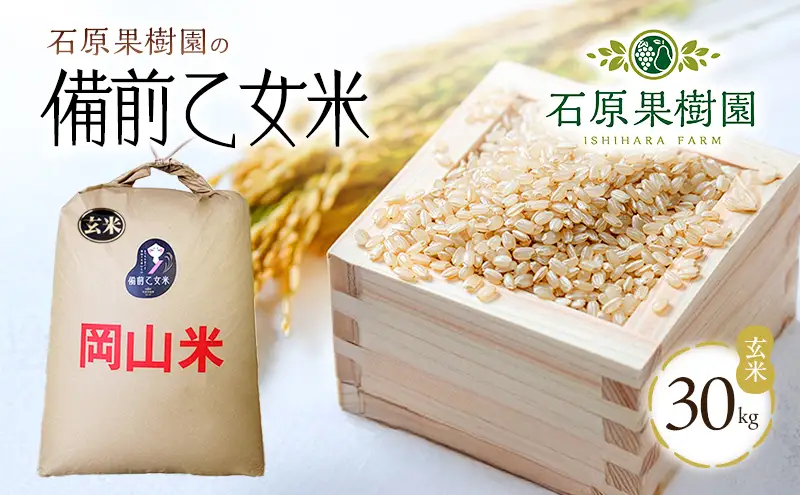 米 令和8年産 石原果樹園の備前乙女米 玄米 30kg×1袋 ※11月上旬～順次発送予定 米