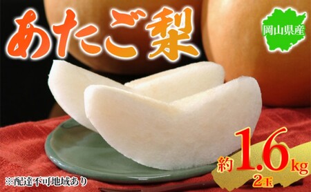 梨 2026年先行予約 岡山県産 あたご梨 約1.6kg 2玉  岡山県産 梨