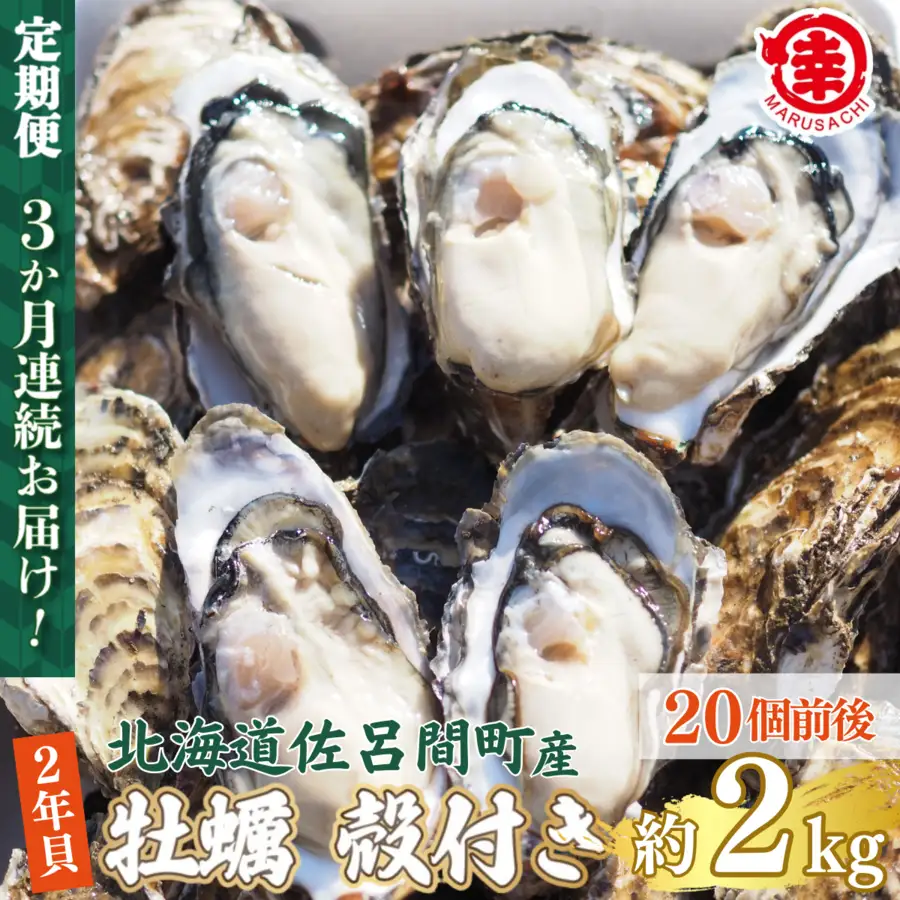 【先行受付】カキ 殻付き 2年貝 約2kg（20個前後） 佐呂間産 ［3回定期便］（10月中旬以降順次発送開始予定） SRMA039