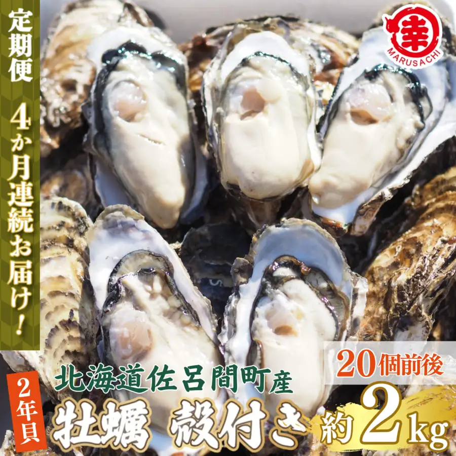 【先行受付】カキ 殻付き 2年貝 約2kg（20個前後） 佐呂間産 ［4回定期便］（10月中旬以降順次発送開始予定） SRMA040