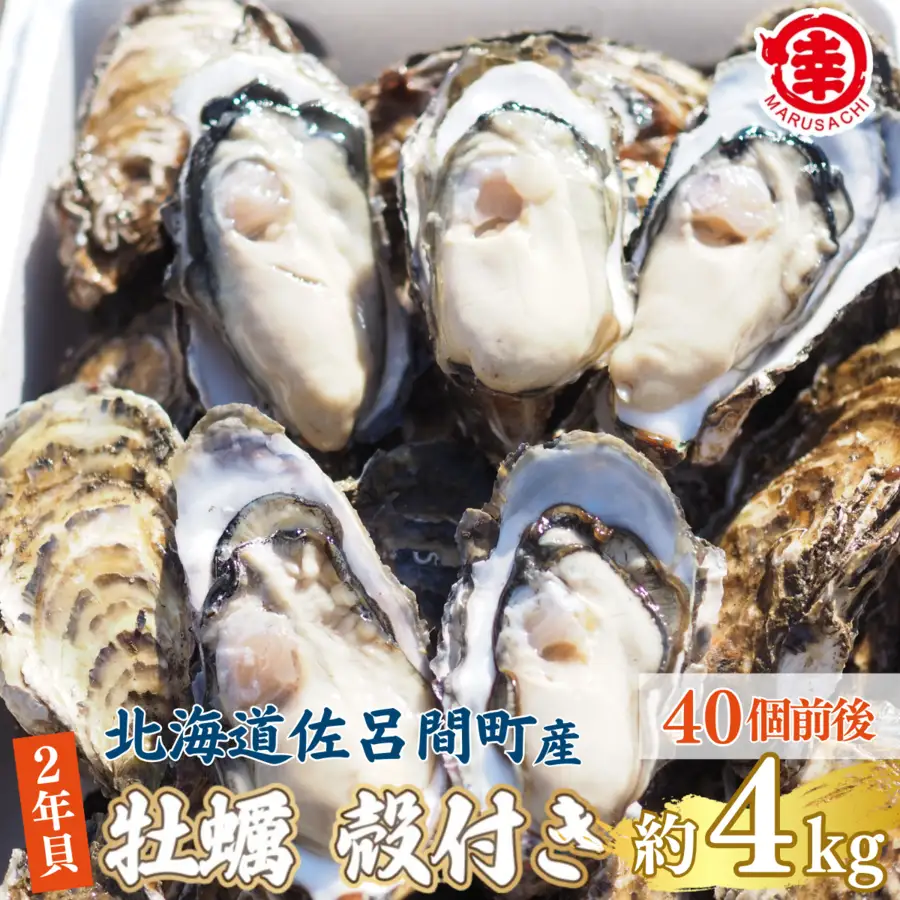 【先行受付】カキ 殻付き 2年貝 約4kg（40個前後） 佐呂間産 （10月中旬以降順次発送開始予定） SRMA041