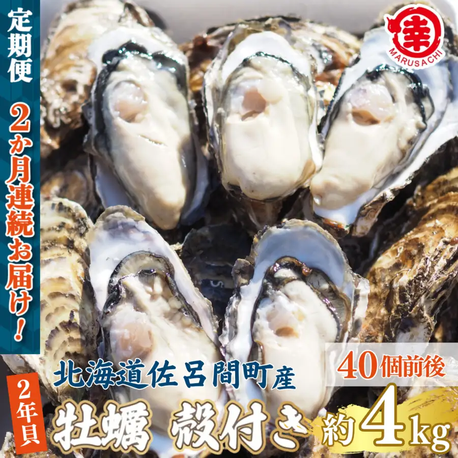 【先行受付】カキ 殻付き 2年貝 約4kg（40個前後） 佐呂間産 ［2回定期便］（10月中旬以降順次発送開始予定） SRMA042