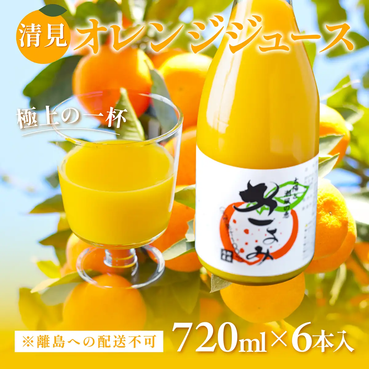 【先行予約】清見オレンジジュース720ml×6本入 ※離島への配送不可（2027年4月中旬より順次発送） IKTAC020