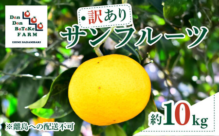 【先行予約】【訳あり】サンフルーツ 約10kg ※離島への配送不可　※2027年3月中旬より順次発送予定 IKTAU012