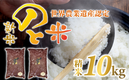 【新米】のと米（新米/精米10kg）｜米 こしひかり コシヒカリ 能登 のと お米 令和7年産