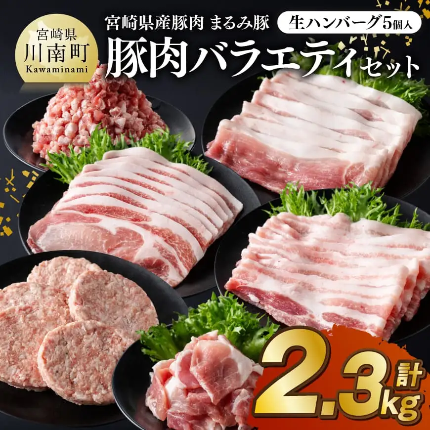豚肉 宮崎県産豚肉 「まるみ豚」総重量2.3kg豚肉バラエティセット　生ハンバーグ5個入り お手軽 真空パック 豚肉