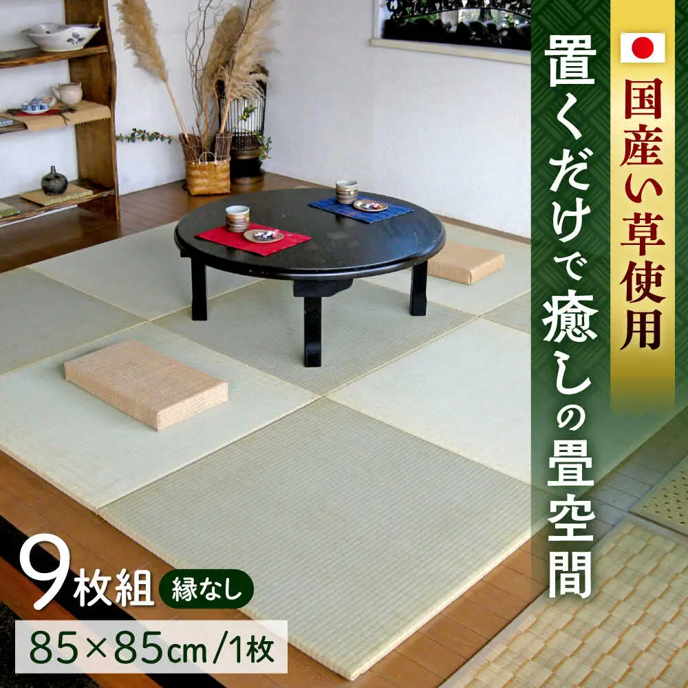 一畳屋 たたみっこ 縁無し 9枚セット 畳[AYAB002]