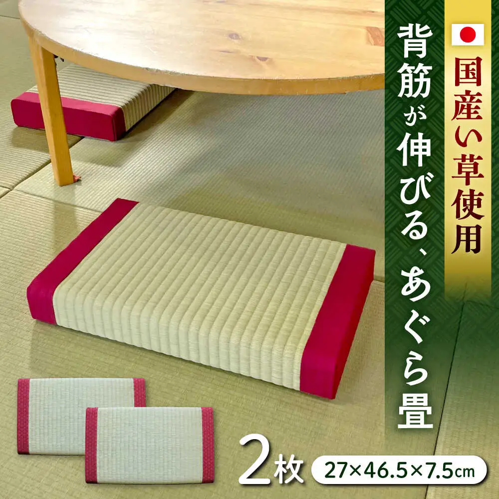 一畳屋 あぐら畳 座卓 枕 2枚セット まくら[AYAB004]
