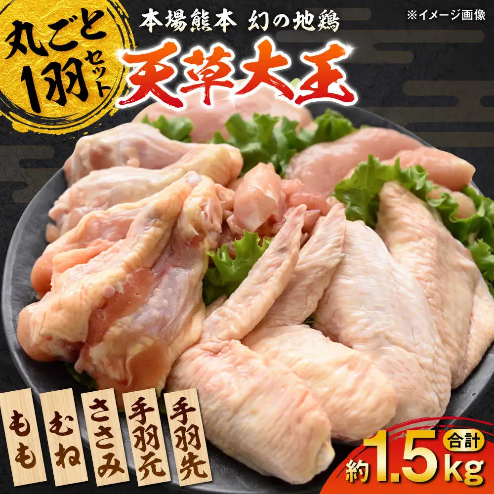 天草大王 1羽まるごとセット 計約1.5kg  鶏肉[AYAB011]