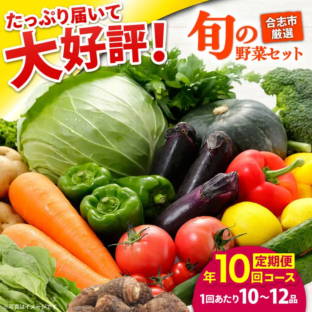 【年10回コース定期便】合志の旬のお野菜10?12品目 野菜定期便[AYAB013]