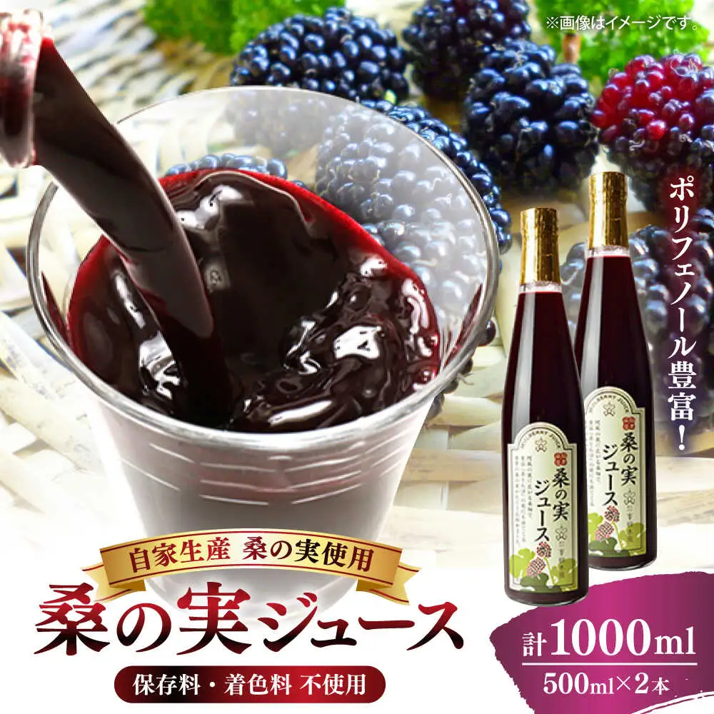 峯樹木園 桑の実ジュース 500ml×2本セット ジュース[AYAB019]