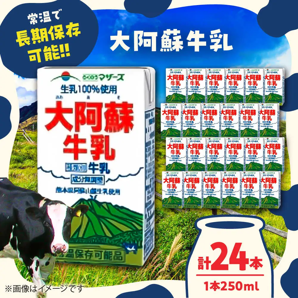大阿蘇牛乳 250ml×24本入 牛乳[AYAB021]