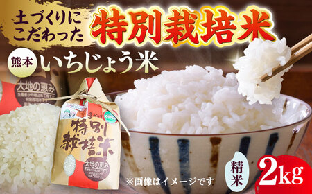 いちじょう 米（品種 にこまる） 精米 2kg 熊本県産 お米[AYAB022]