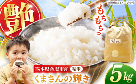 わぶ城湧水農園 精米 5kg くまさんの輝き お米 熊本県[AYAB051]