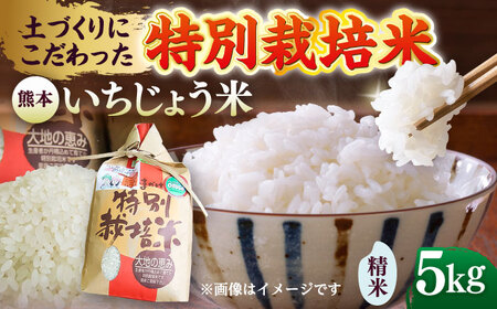 いちじょう 米（品種 にこまる） 精米 5kg 熊本県産  お米[AYAB053]