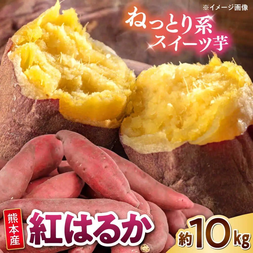 紅はるか さつまいも 秀品 約10kg S?2Lサイズ混合 さつまいも[AYAT005]