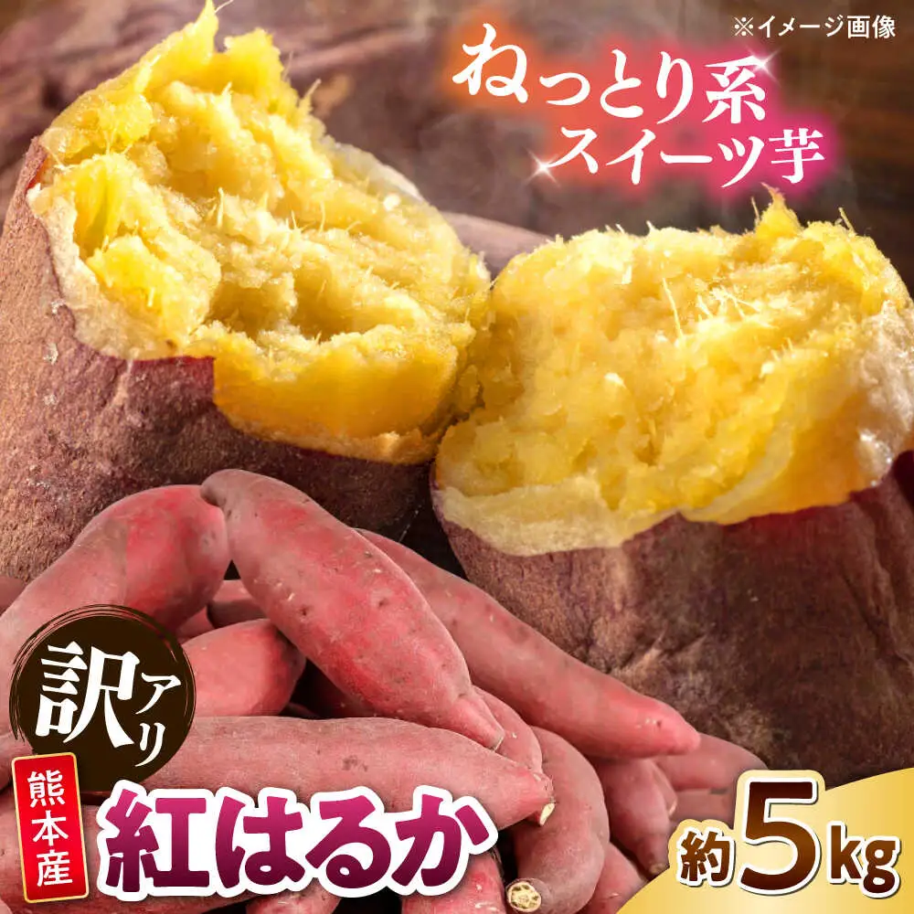 【訳あり】紅はるか さつまいも 約5kg 2S?3Lサイズ混合 さつまいも[AYAT010]