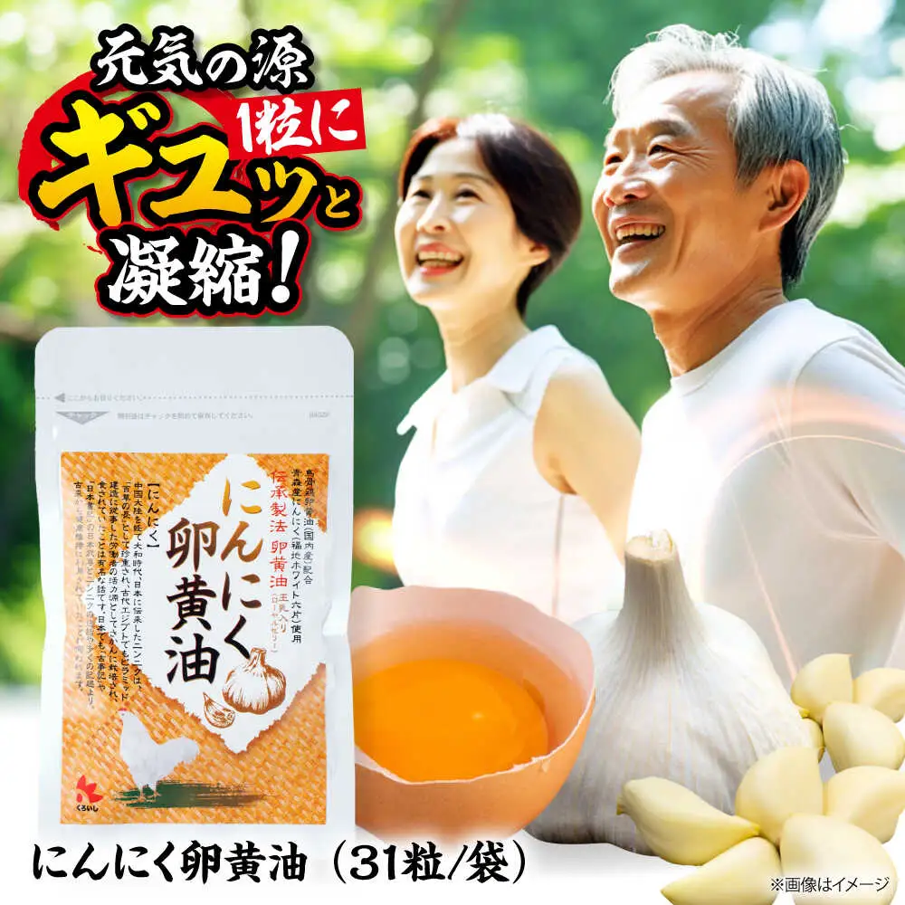 にんにく 卵黄油 31粒 にんにく卵黄油 サプリメント サプリ[AYAX001]