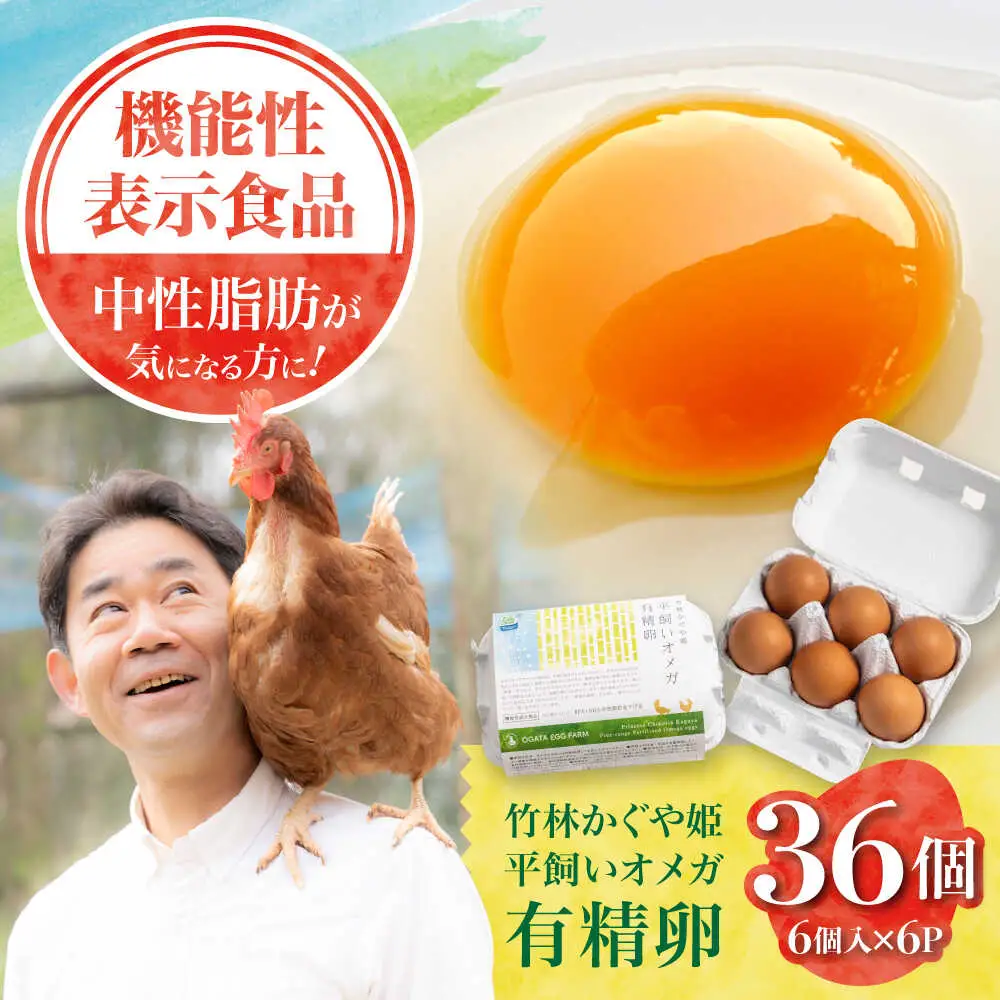 竹林かぐや姫平飼いオメガ有精卵 36個入 卵[AYBG001]