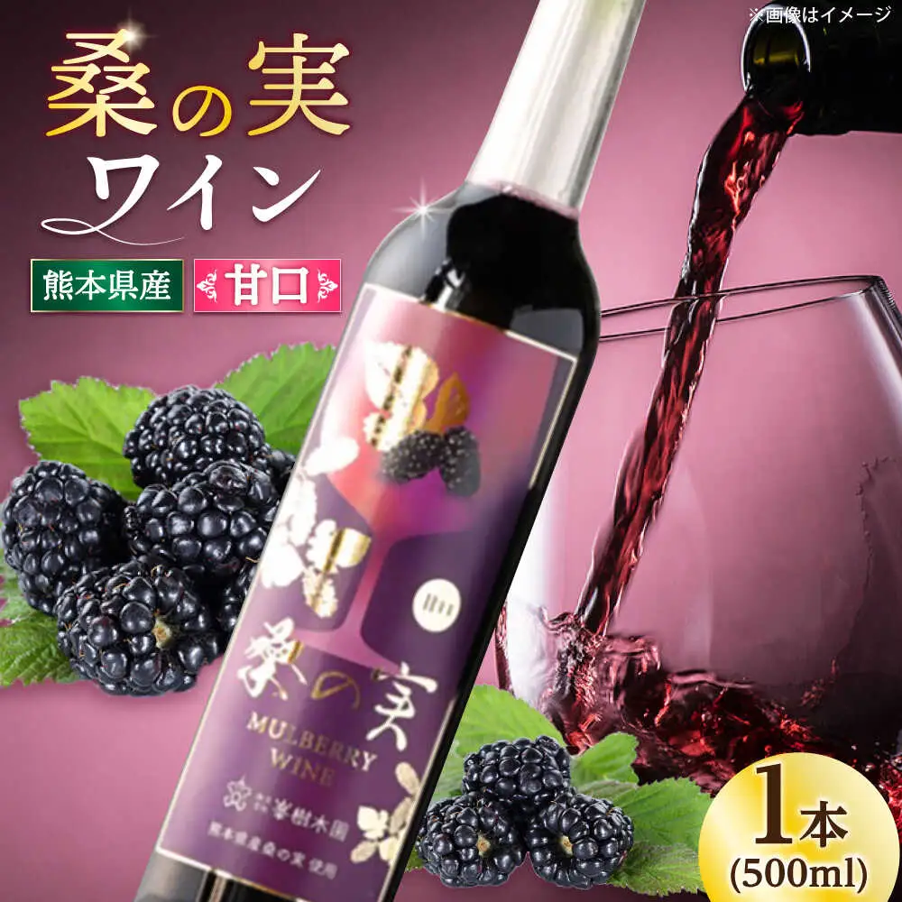 桑の実 ワイン （甘口） 500ml×1本 ワイン[AYBM003]
