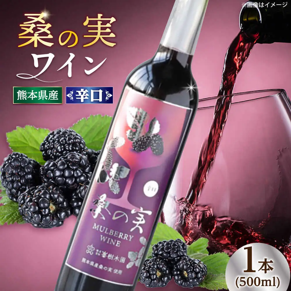 桑の実 ワイン （辛口） 500ml×1本  ワイン[AYBM005]