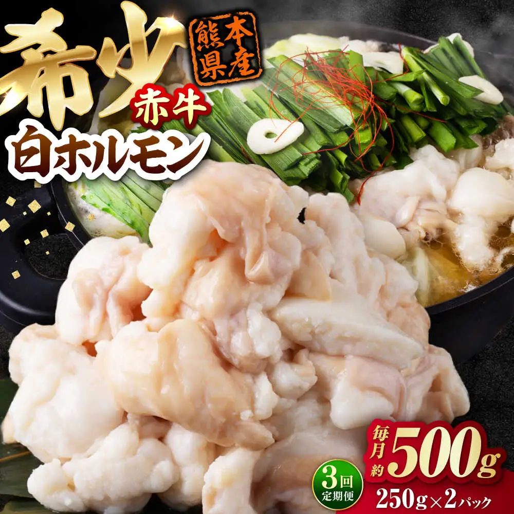 【全3回定期便】 赤牛 ホルモン 500g（250g×2パック） / 小腸 シロホルモン もつ 熊本県産 冷凍[AYBV007]