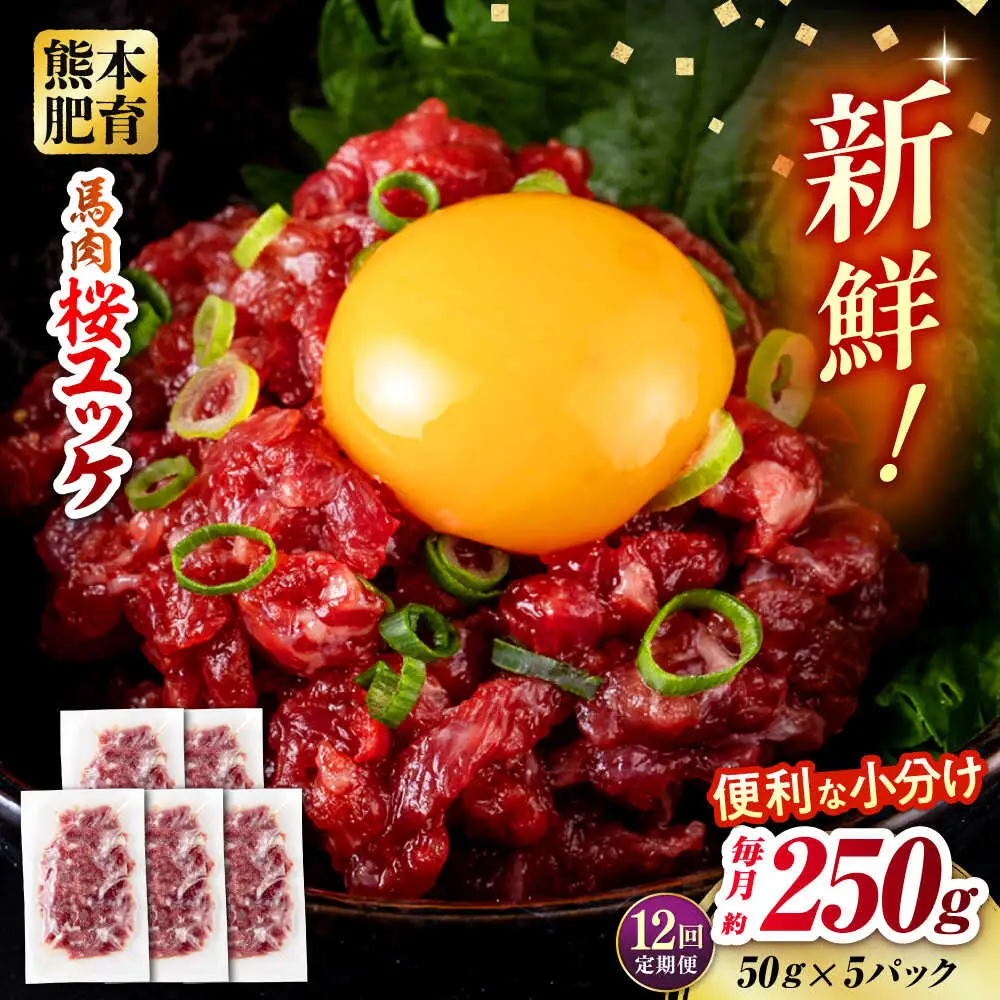 【全12回定期便】馬肉 さくらユッケ 50g×5パック 計250g 馬肉 桜ユッケ 赤身 [AYBV018]