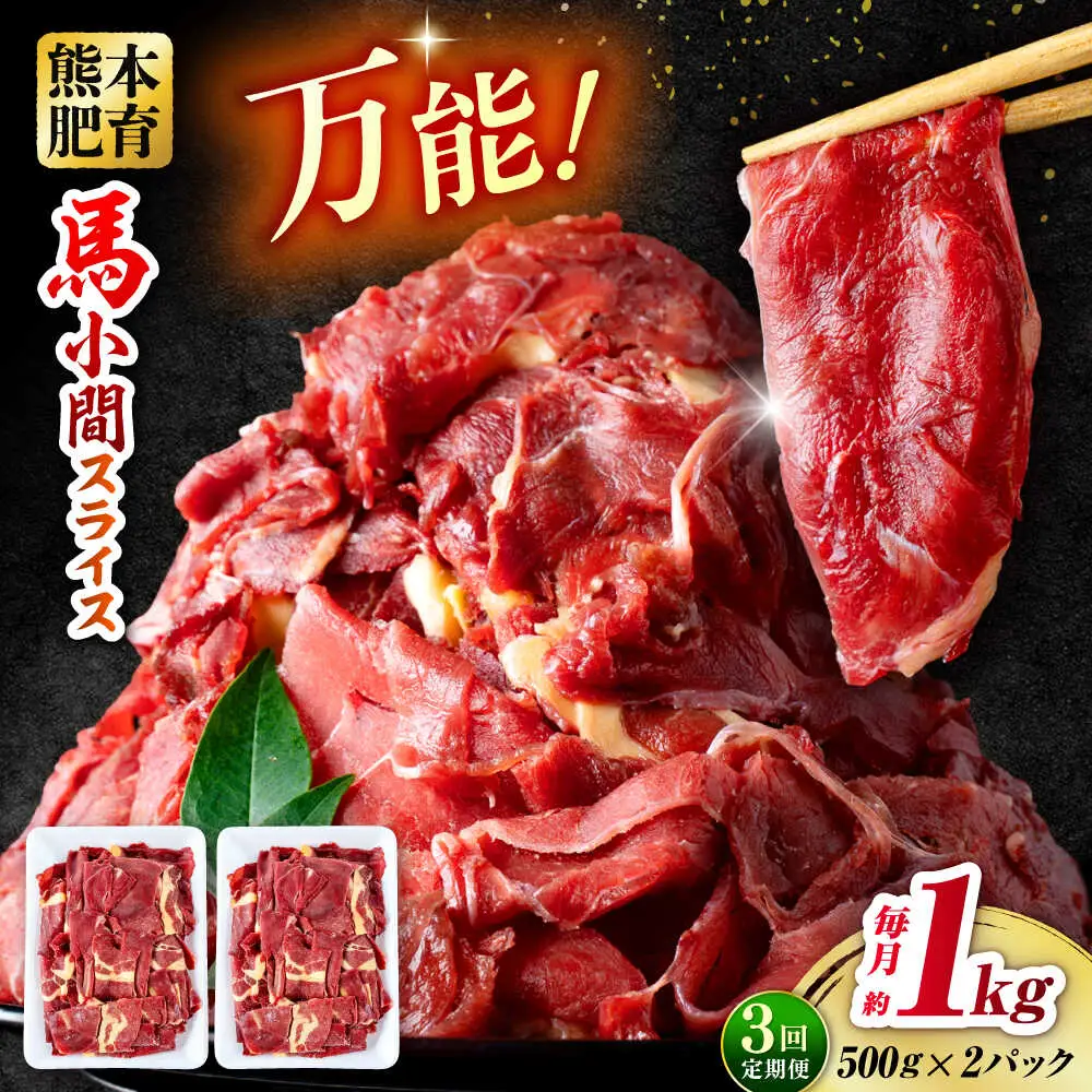 【全3回定期便】 馬肉 小間スライス 計3kg 1回あたり1kg（500g×2パック） /馬肉 小間切れ しぐれ煮 味噌煮 野菜炒め 冷凍[AYBV034]