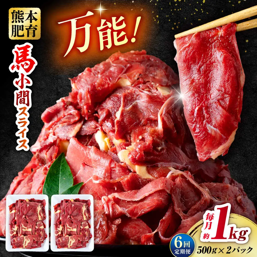 【全6回定期便】 馬肉 小間スライス 計6kg 1回あたり1kg（500g×2パック） / 馬肉 小間切れ しぐれ煮 味噌煮 野菜炒め 冷凍[AYBV035]