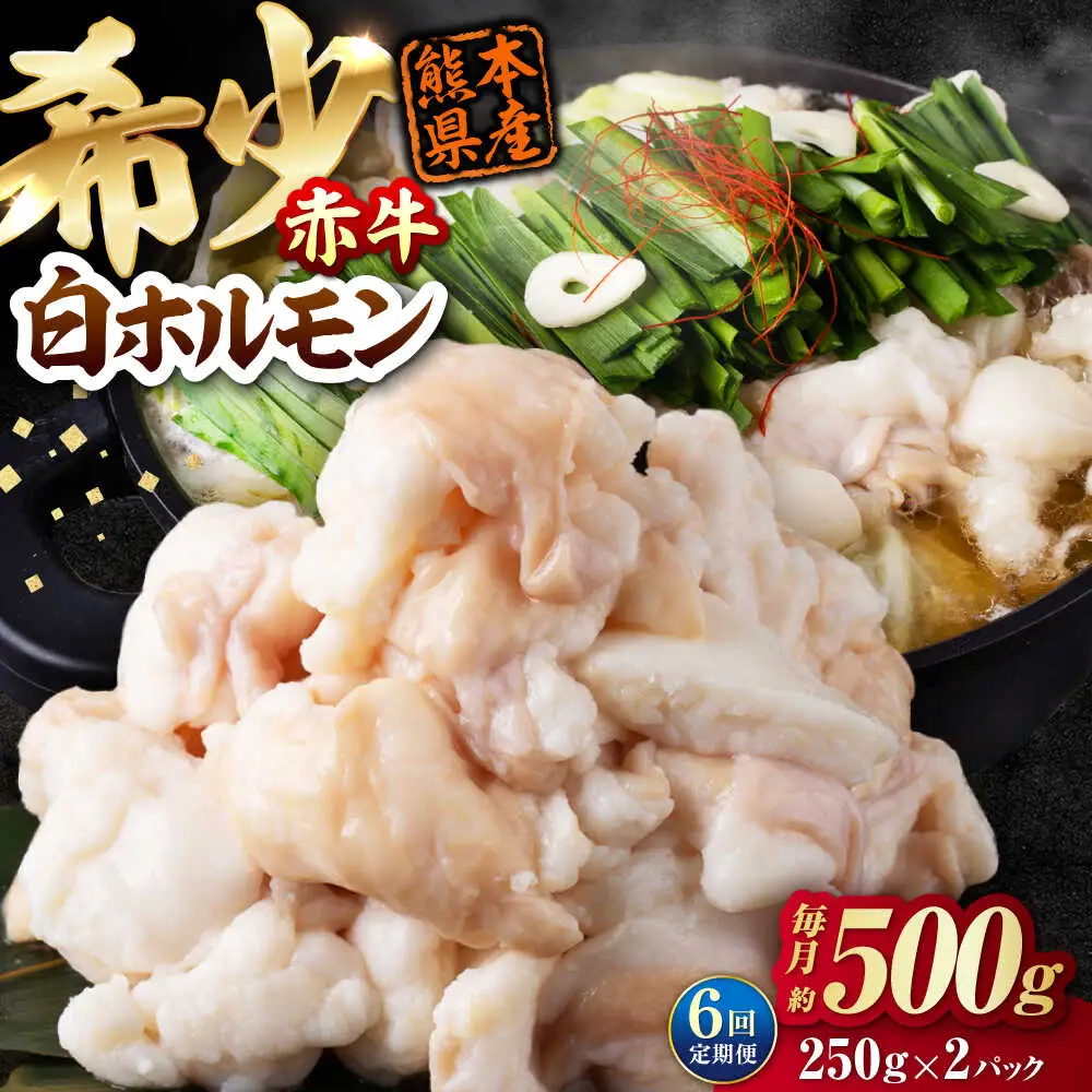 【全6回定期便】 赤牛 ホルモン 500g（250g×2パック） / 小腸 シロホルモン もつ 熊本県産 冷凍[AYBV038]