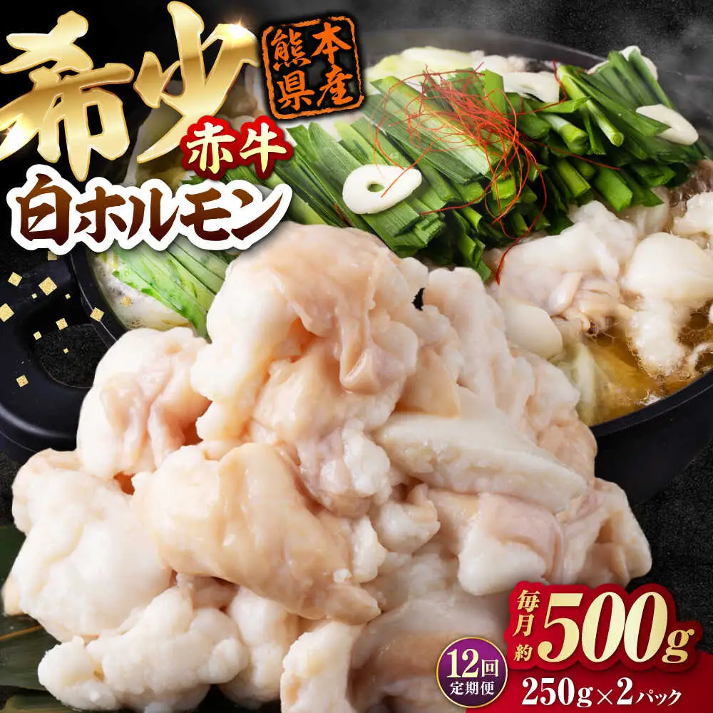 【全12回定期便】 赤牛 ホルモン 500g（250g×2パック） / 小腸 シロホルモン もつ 熊本県産 冷凍[AYBV039]