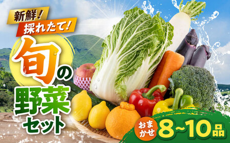 令和8年熊本地震復興支援 旬の野菜おまかせ詰め合わせセット 8〜10品目 野菜 [AYCA001]