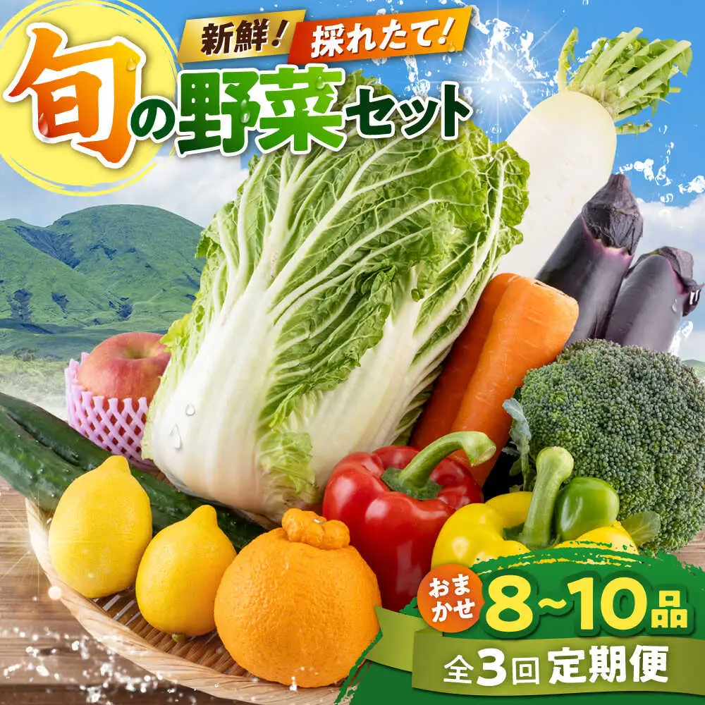 【全3回定期便】旬な野菜おまかせ詰め合わせセット 野菜 [AYCA003]
