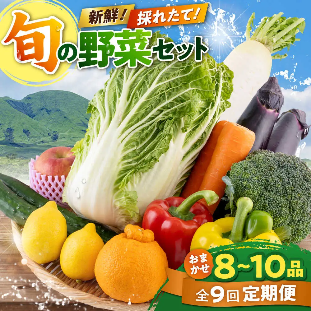 【全9回定期便】旬な野菜おまかせ詰め合わせセット 野菜 [AYCA005]