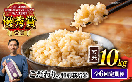 【令和7年度】 【全6回定期便】 くまさんの輝き 玄米 10kg 計60kg 玄米[AYCC003]