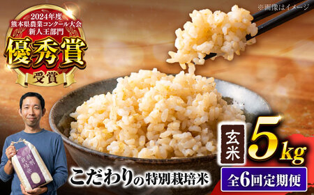 【令和7年度】 【全6回定期便】 くまさんの輝き 玄米 5kg 計30kg 玄米[AYCC026]