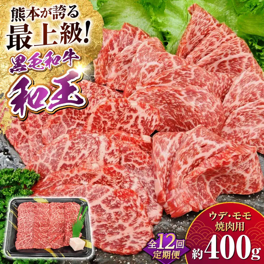 【全12回定期便】熊本県産 A5等級 黒毛和牛 和王 ウデ・モモ 焼肉用 約400g 計約4.8kg 焼肉[AYCH022]
