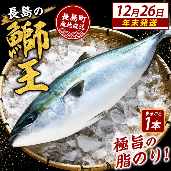 ＼年末発送 先行予約／【12月26日発送】鰤王ラウンド（約3.5㎏～）テレビで紹介ぶりの王様「 鰤王 」 まるごと 1本 ラウンド 先行予約 産地直送 長島町 特産品 ブランド 鰤 冷蔵 ふるさと納税 ぶり 刺身 ぶりしゃぶ ぶり大根 海鮮丼 年末年始発送 【JFA】jfa-7115-26